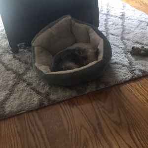 Meet your Posher, Deb